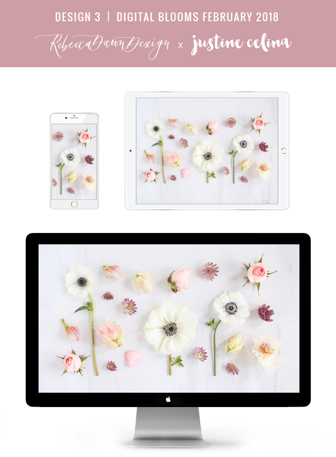 DIGITAL BLOOMS FEBRUARY 2018 | Free Blush Floral Desktop Wallpapers for Valentine’s Day | Design 3 // JustineCelina.com x Rebecca Dawn Design