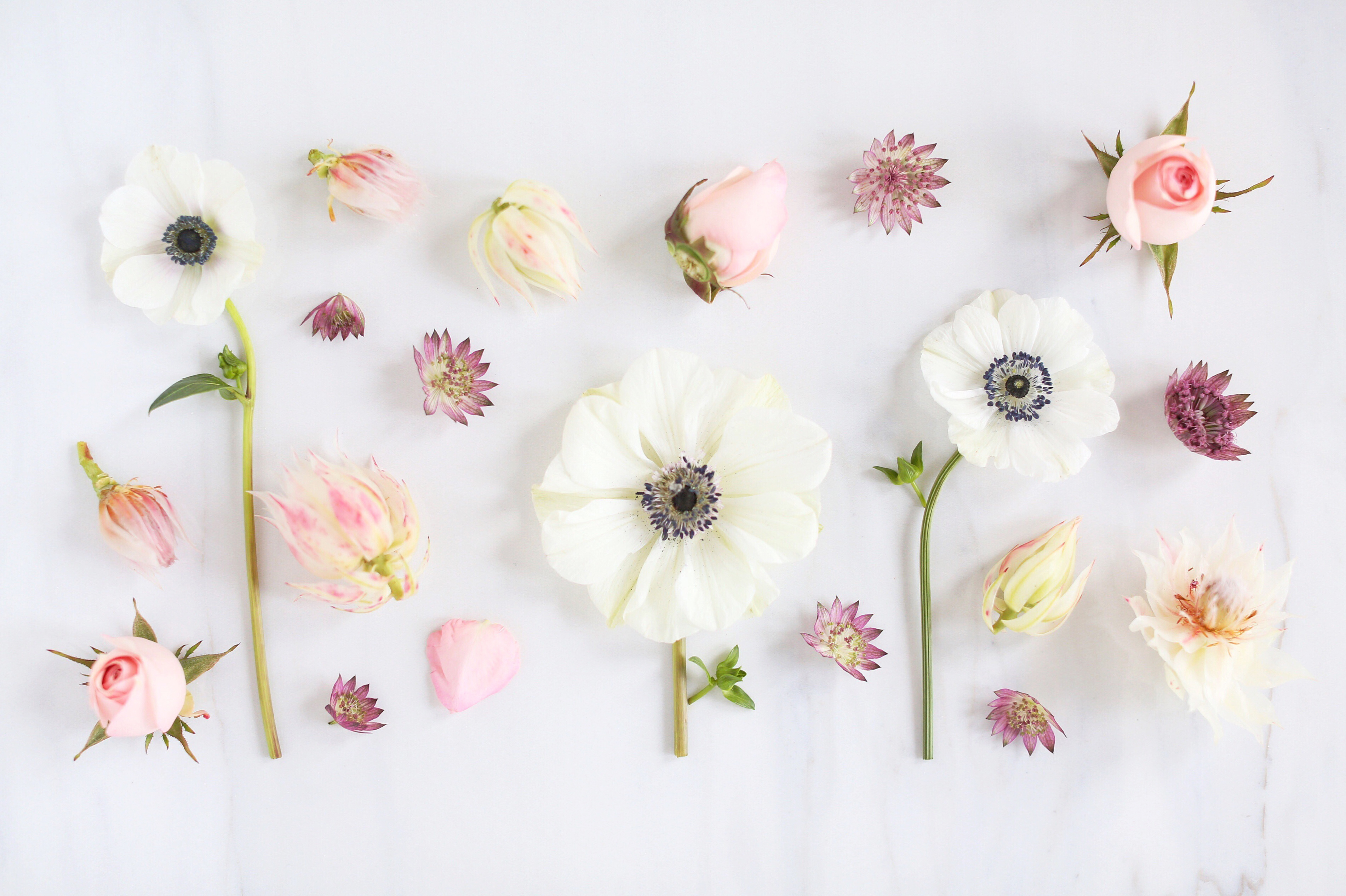 DIGITAL BLOOMS FEBRUARY 2018 | Free Blush Floral Desktop Wallpapers for Valentine’s Day | Design 3 // JustineCelina.com x Rebecca Dawn Design
