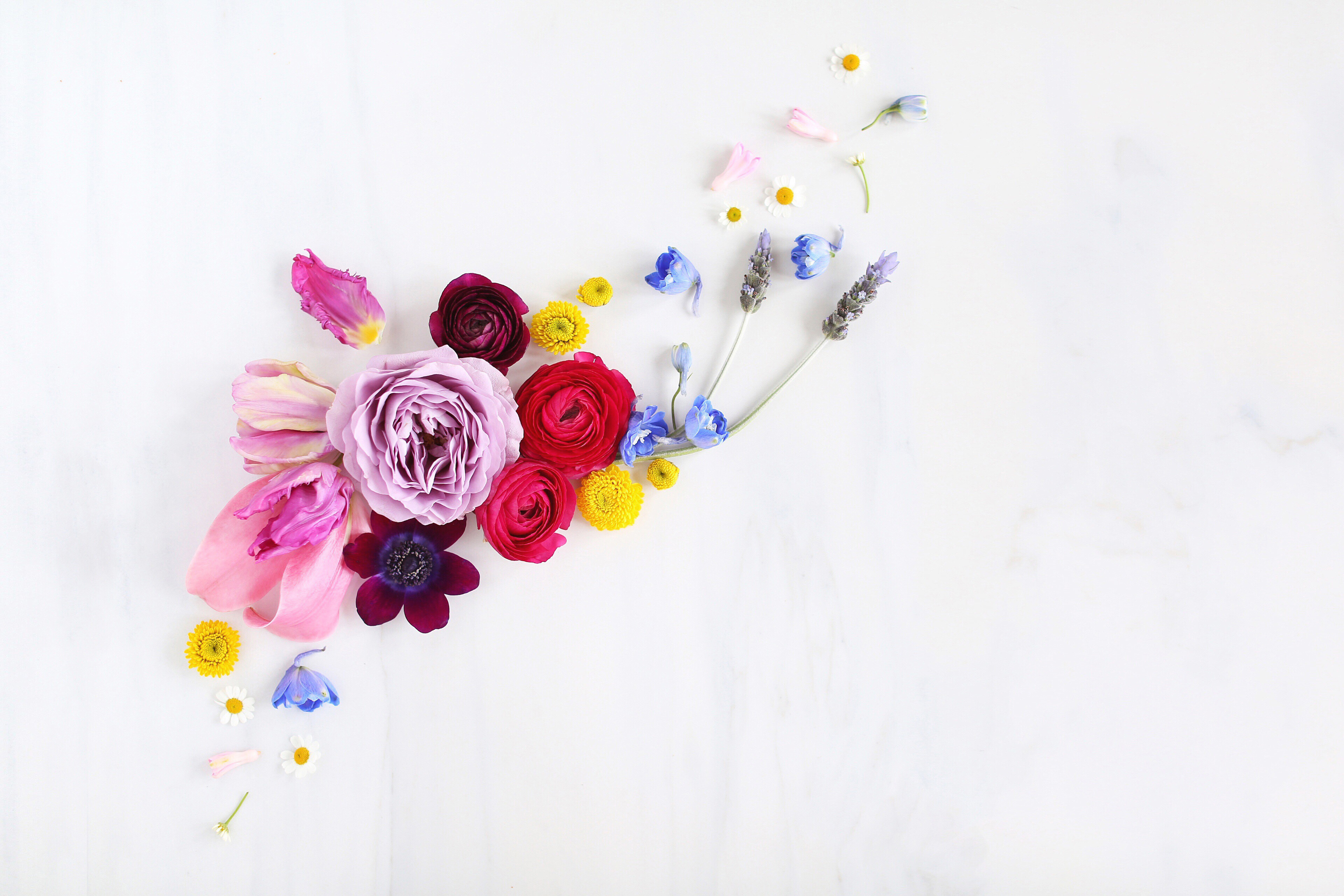 Digital Blooms March 2018 | Free Pantone Inspired Desktop Wallpapers for Spring | Design 2 // JustineCelina.com x Rebecca Dawn Design