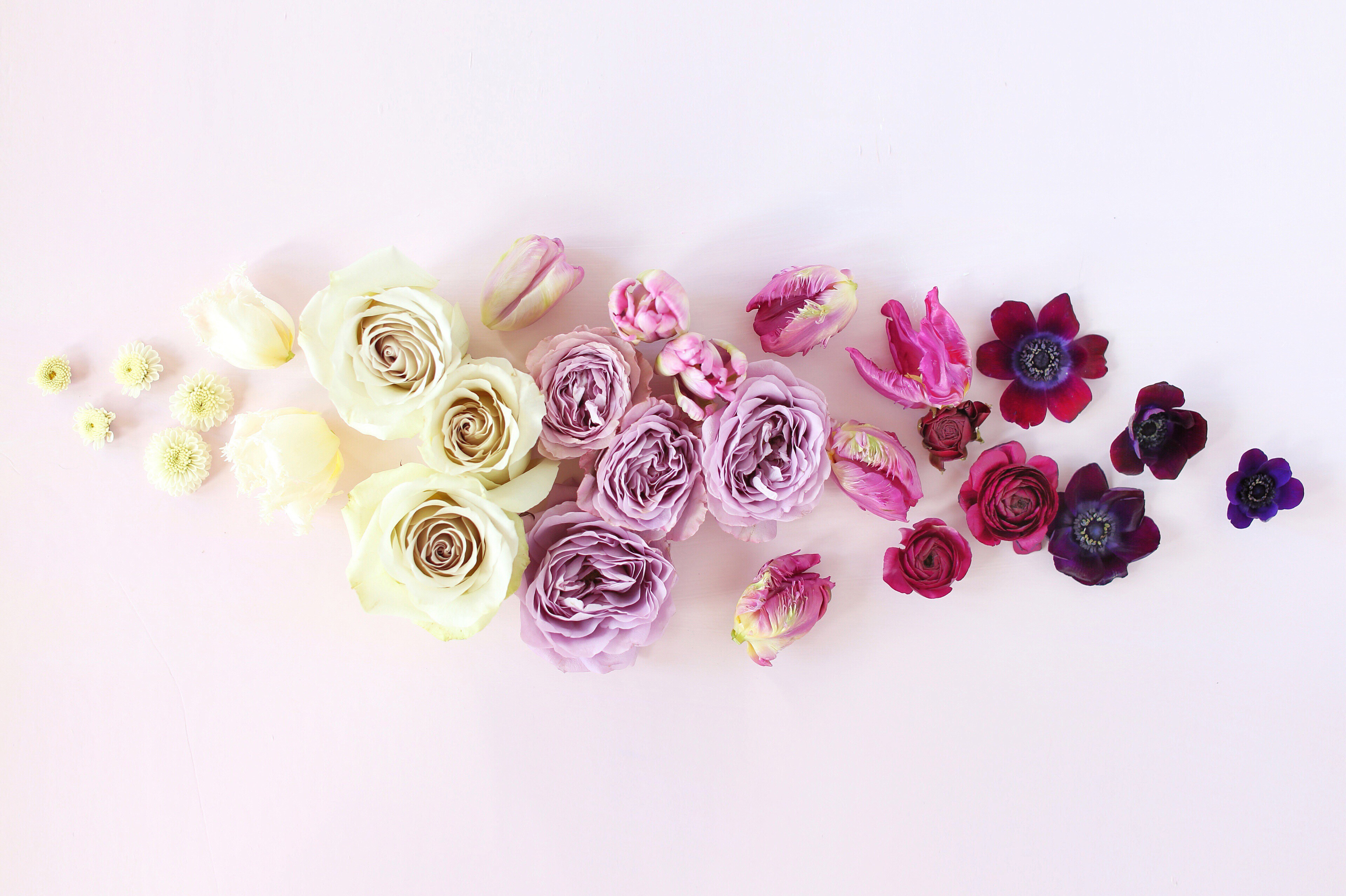 Digital Blooms April 2018 | Free Pantone Inspired Desktop Wallpapers for Spring | Free Ombre Lavender Floral Tech Wallpapers | Design 1 // JustineCelina.com x Rebecca Dawn Design