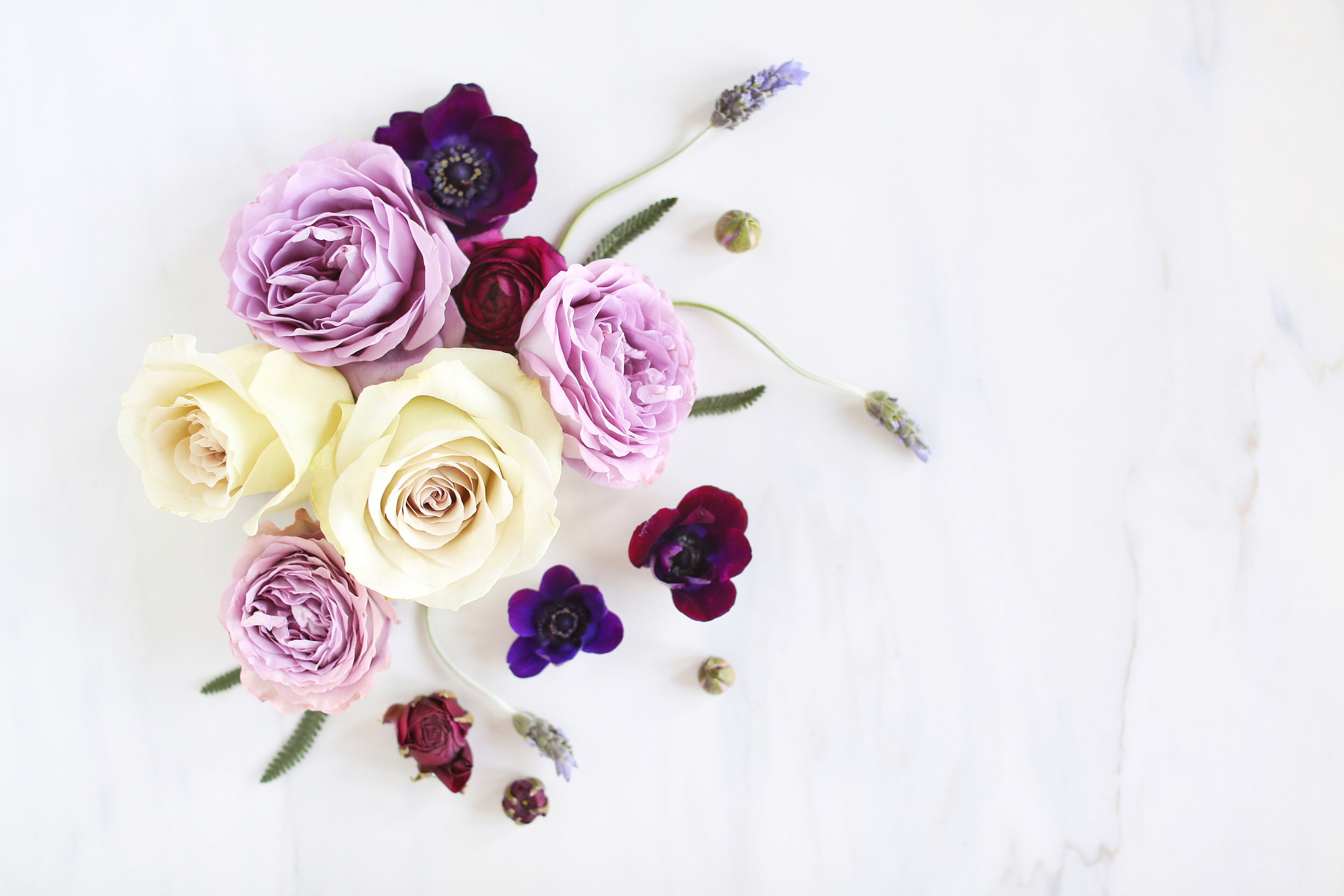 Digital Blooms April 2018 | Free Pantone Inspired Desktop Wallpapers for Spring | Free Lavender Floral Tech Wallpapers | Design 2 // JustineCelina.com x Rebecca Dawn Design