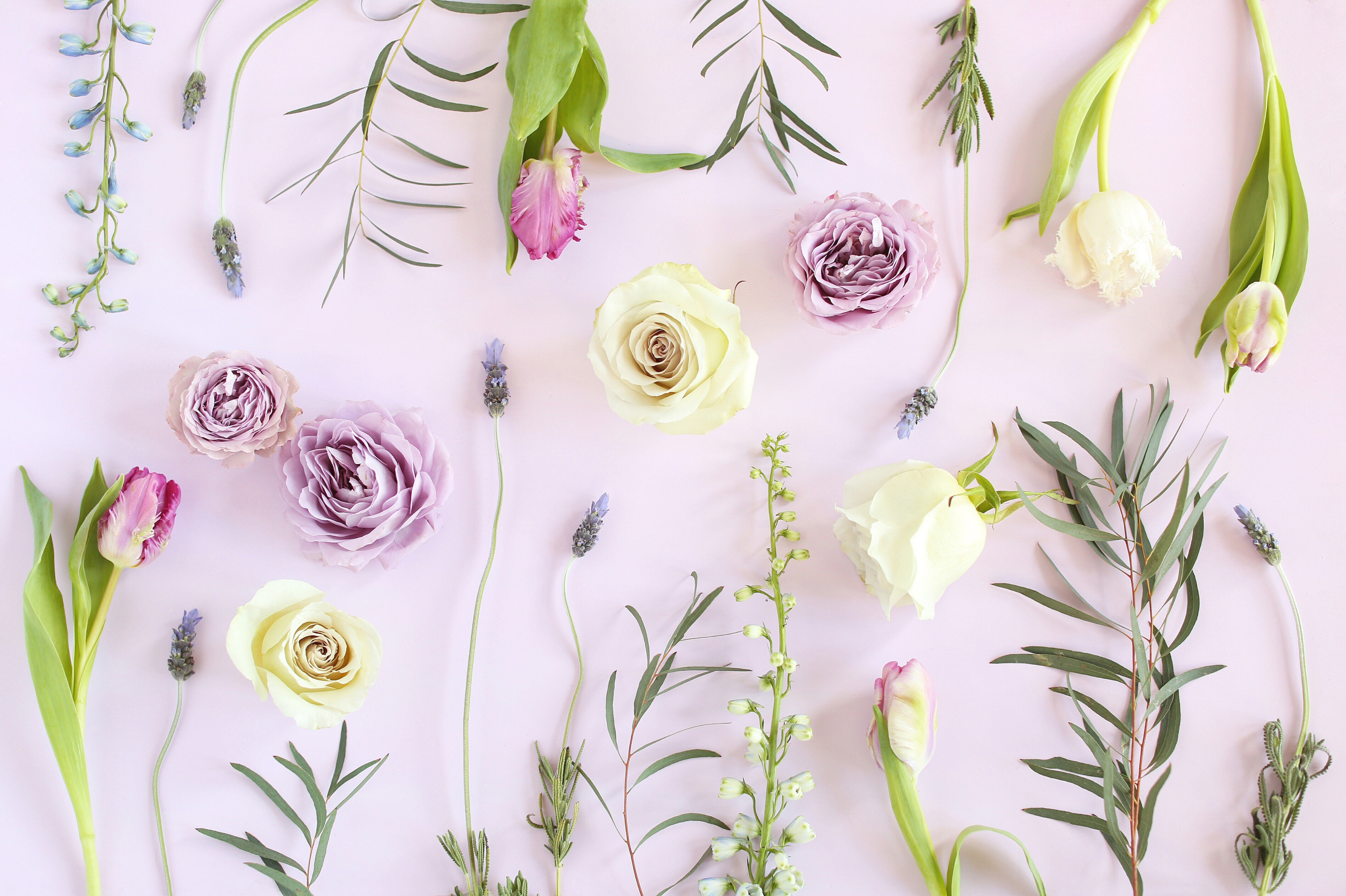 Digital Blooms April 2018 | Free Pantone Inspired Desktop Wallpapers for Spring | Free Lavender Floral Tech Wallpapers | Design 3 // JustineCelina.com x Rebecca Dawn Design