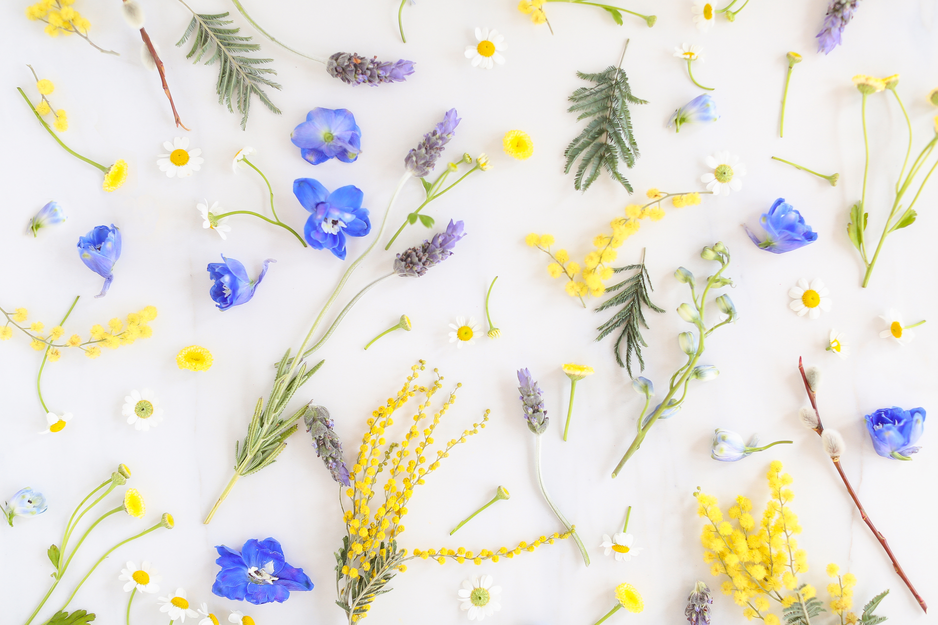 Digital Blooms May 2018 | Free Pantone Inspired Desktop Wallpapers for Spring | Free Pastel Floral Tech Wallpapers | Design 1 // JustineCelina.com x Rebecca Dawn Design