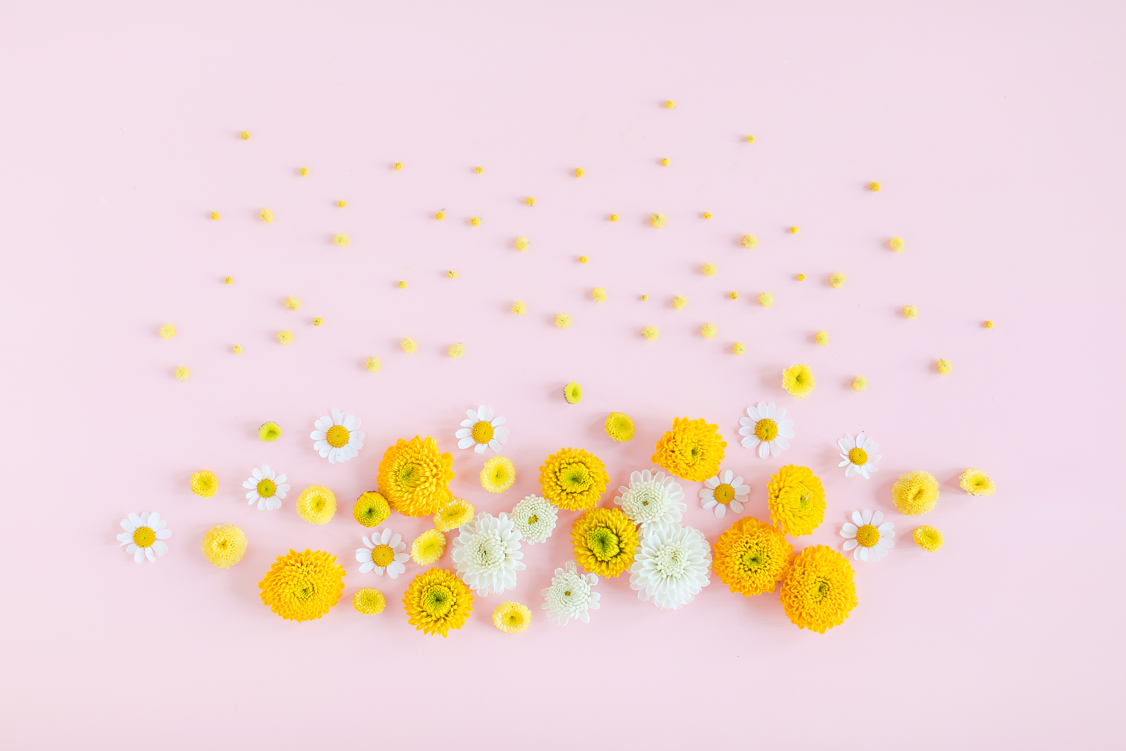 Digital Blooms May 2018 | Free Pantone Inspired Desktop Wallpapers for Spring | Free Pastel Tech Wallpapers | Design 2 // JustineCelina.com x Rebecca Dawn Design