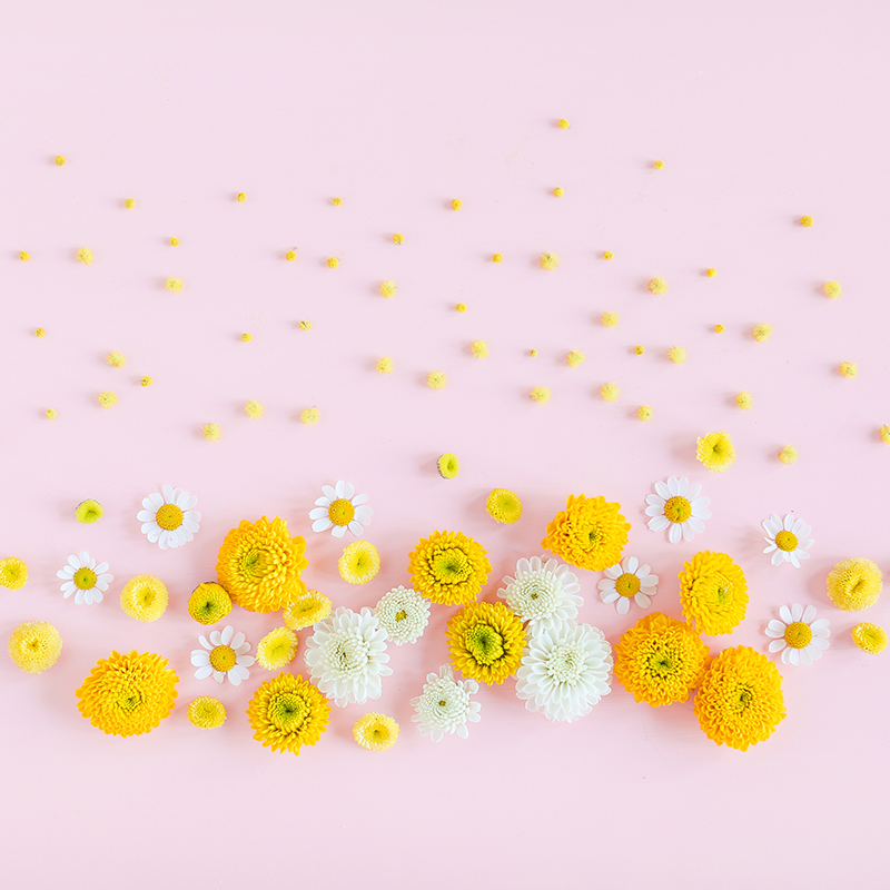 Digital Blooms May 2018 | Free Pantone Inspired Desktop Wallpapers for Spring | Free Pastel Tech Wallpapers | Design 2 // JustineCelina.com x Rebecca Dawn Design