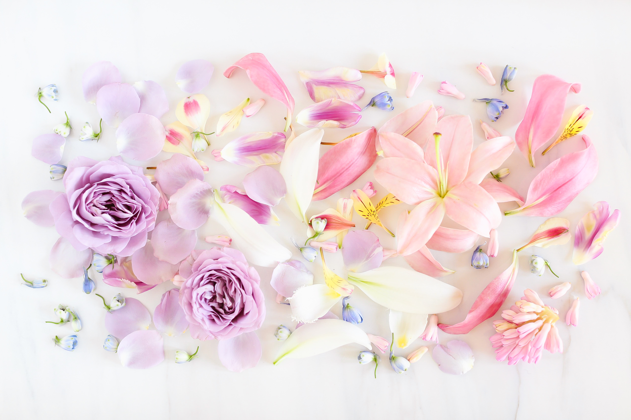 Digital Blooms June 2018 | Free Pantone Inspired Desktop Wallpapers for Spring and Summer | Free Pastel Tech Wallpapers | Design 3 // JustineCelina.com x Rebecca Dawn Design