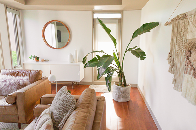 How to Select and Care For Houseplants | Justine Celina Maguire’s Mid Century Modern, Boho Apartment in Calgary, Alberta, Canada // JustineCelina.com