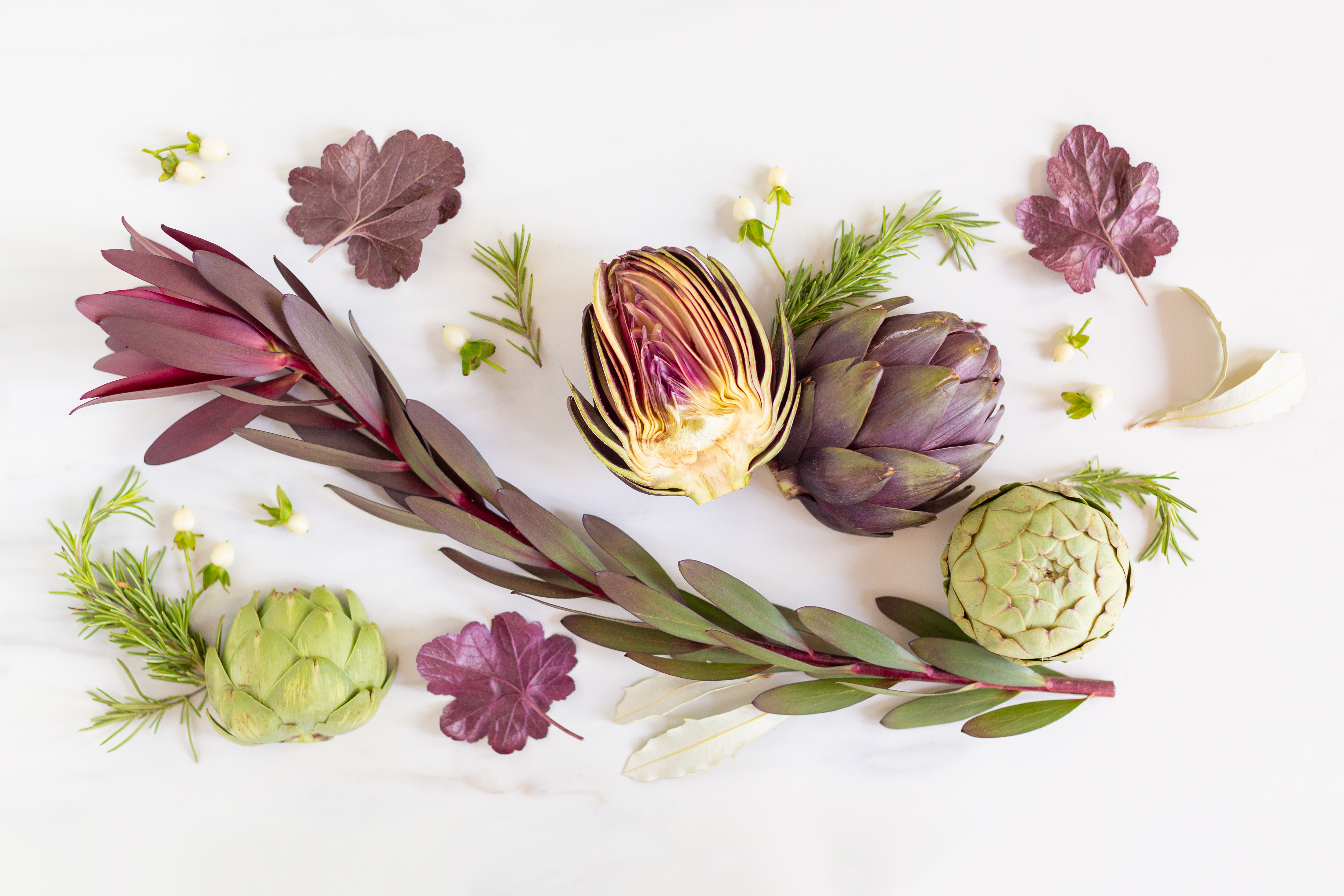 Digital Blooms August 2018 | Free Desktop Wallpapers for Spring and Summer with Artichokes, Rosemary, Berries and Quicksand Roses | Design 2 // JustineCelina.com x Rebecca Dawn Design