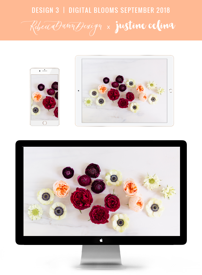 Digital Blooms September 2018 | Free Desktop Wallpapers for Fall with Ranunculus, Garden Roses and Anemones | Pantone Fall / Winter 2018 Free Tech Wallpapers | Design 3 // JustineCelina.com x Rebecca Dawn Design