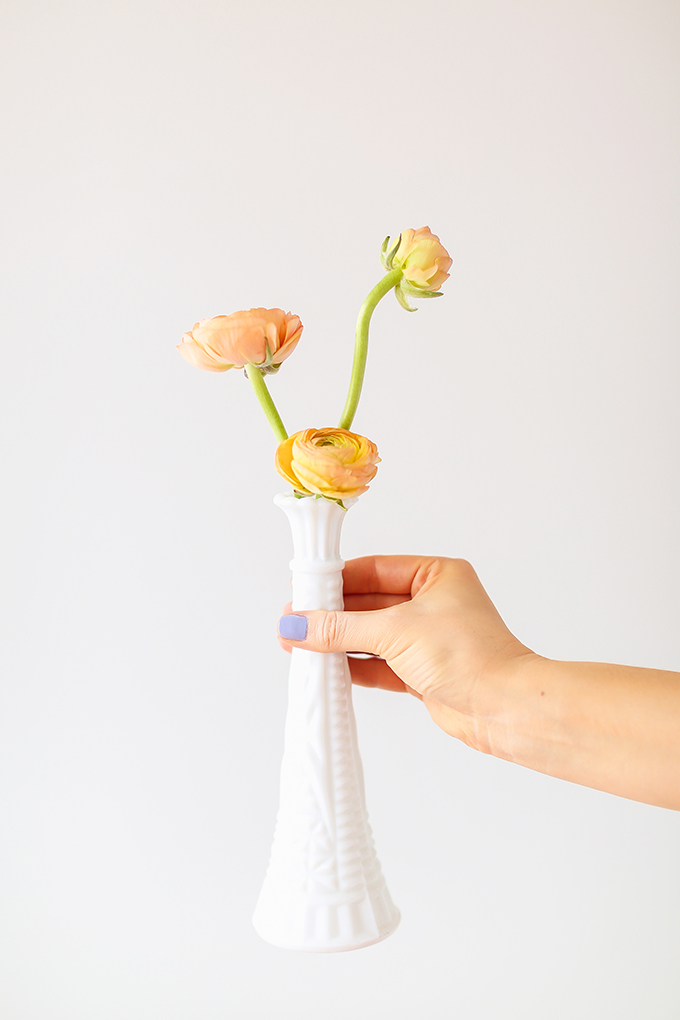 All About Ranunculus | Care & Conditioning Tips | Hand Holding Yellow Ranunculus in Vintage Milk Glass Vases on a White Background | JustineCelina.com