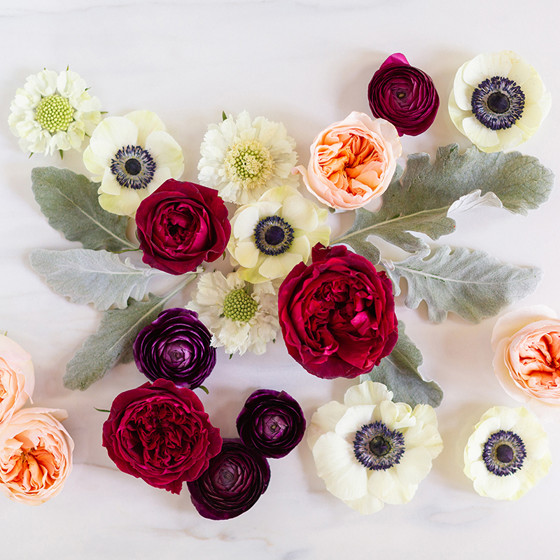 Digital Blooms September 2018 | Free Desktop Wallpapers for Fall with Ranunculus, Garden Roses and Anemones | Pantone Fall / Winter 2018 Free Tech Wallpapers | Design 1 // JustineCelina.com x Rebecca Dawn Design