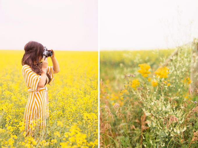 Pattern Play | Stripes | How to Style Stripes for Summer 2018 | The Best Striped Dresses 2018 | Mustard Striped Button Down Dress | Woman in a field of Canola with a Canon Film Camera | Foothills, Alberts | Calgary Fashion Blogger | Canadian Fashion Blogger // JustineCelina.com