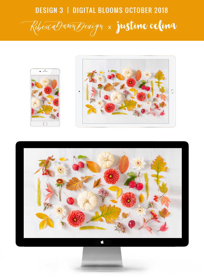 Digital Blooms October 2018 | Free Desktop Wallpapers for Fall with Dahlias, Sedum, Chrysanthemum Poms, Ornamental White Pumpkins, Crabapples and an array of foraged autumn leaves and berries | Pantone Fall / Winter 2018 Free Tech Wallpapers | Design 3 // JustineCelina.com x Rebecca Dawn Design