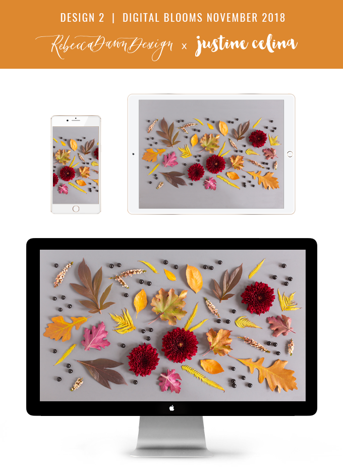 Digital Blooms November 2018 | Free Desktop Wallpapers for Fall with Mums, Thrytptomene and an array of foraged autumn leaves and berries | Pantone Fall / Winter 2018 Free Tech Wallpapers | Design 2 // JustineCelina.com x Rebecca Dawn Design