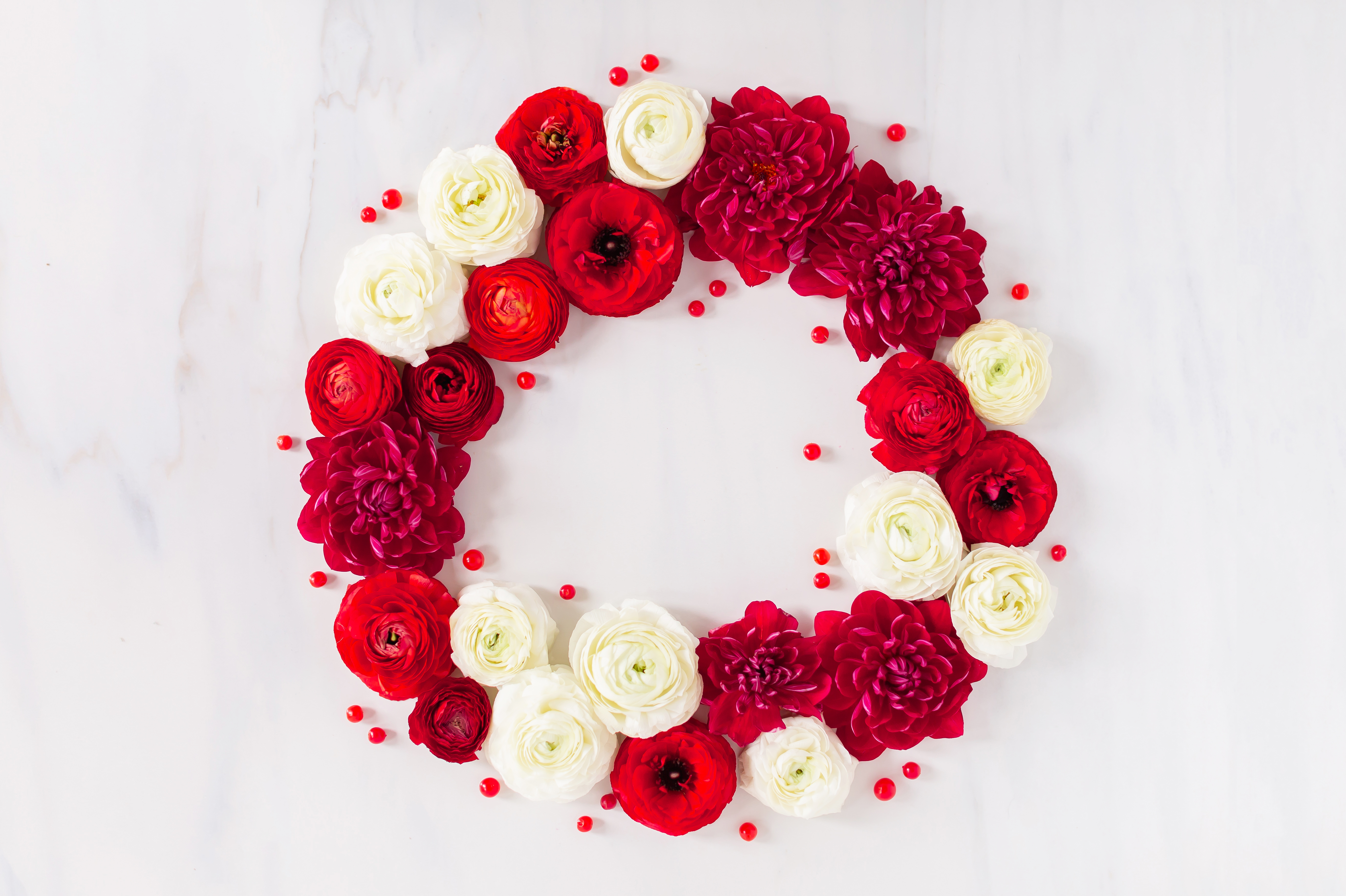 Digital Blooms December 2018 | Free Holiday Floral Desktop Wallpapers | A Festive, Red Christmas Wreath made with Ranunculus, Chrysanthemums, Berries and Twigs | Pantone Fall / Winter 2018 Free Tech Wallpapers | Design 3 // JustineCelina.com x Rebecca Dawn Design
