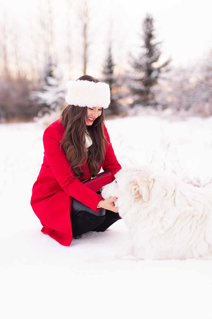 2018 Rewind + 2019 Goals | Calgary Lifestyle Blogger | Holiday Outfit | Girl with a Great Pyrenees in the winter snow // JustineCelina.com 