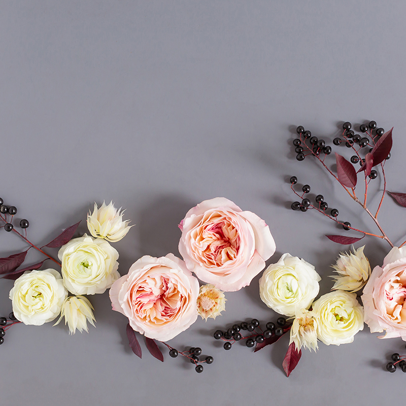 DIGITAL BLOOMS JANUARY 2019 | FREE DESKTOP WALLPAPER | Free Winter 2019 Floral Desktop Wallpapers featuring Blush Garden Roses, White Ranunculus, Blushing Bride Proteas and Black Berries on a grey background // JustineCelina.com x Rebecca Dawn Design