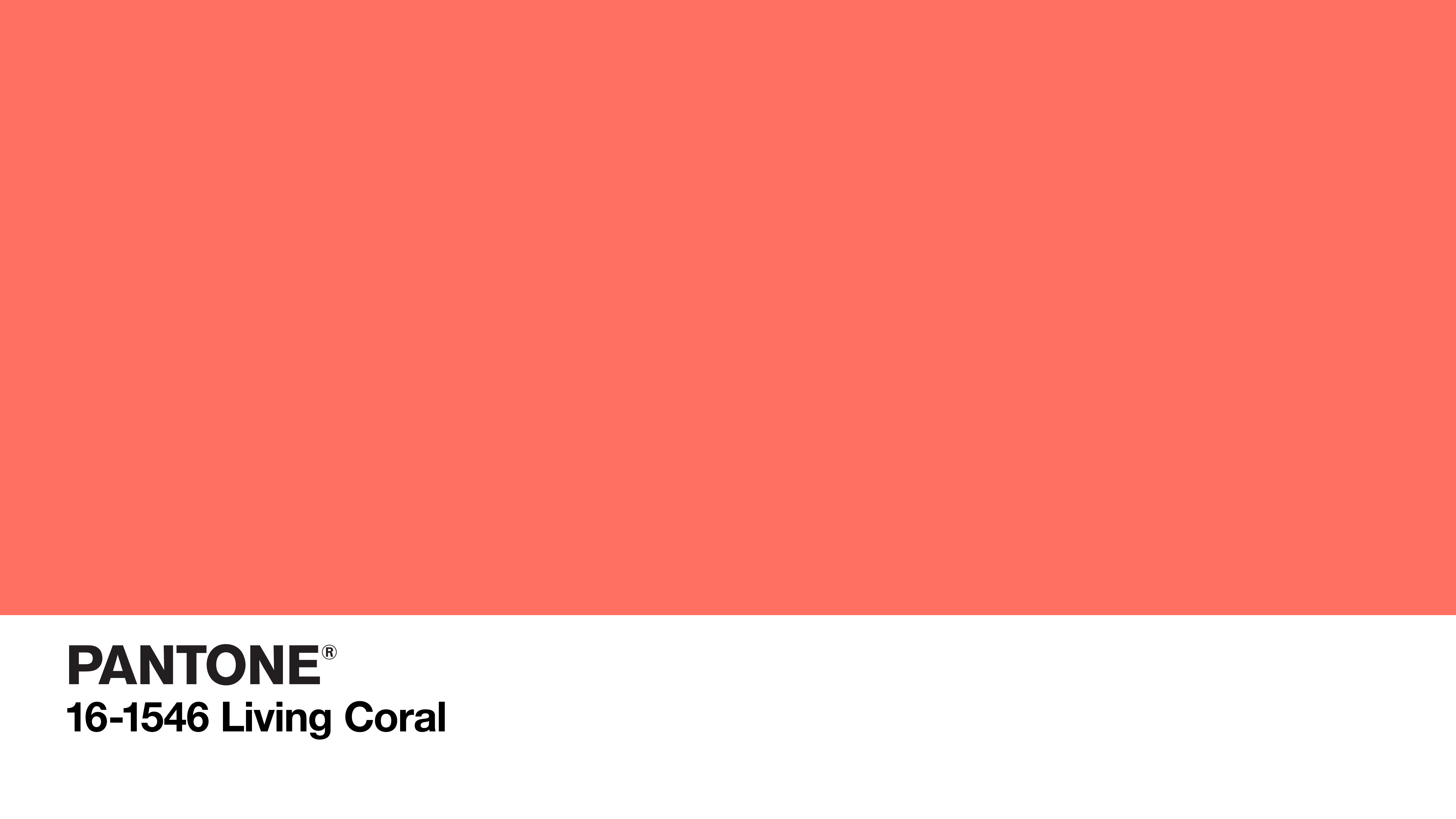 Pantone 2019 Color of the Year Living Coral Swatch | Pantone Colour of the Year 2019 Living Coral Inspiration | How to Incorporate Pantone's Color of the Year 2019 Living Coral in Your Home, Beauty Routine, Personal Style, Wardrobe, Flowers, Decor, Food, Drink and Entertaining this year | Living Coral Interior Design Trends | Pantone Living Coral Inspiration | How to Use Pantone Color of the Year 2019 Living Coral // JustineCelina.com