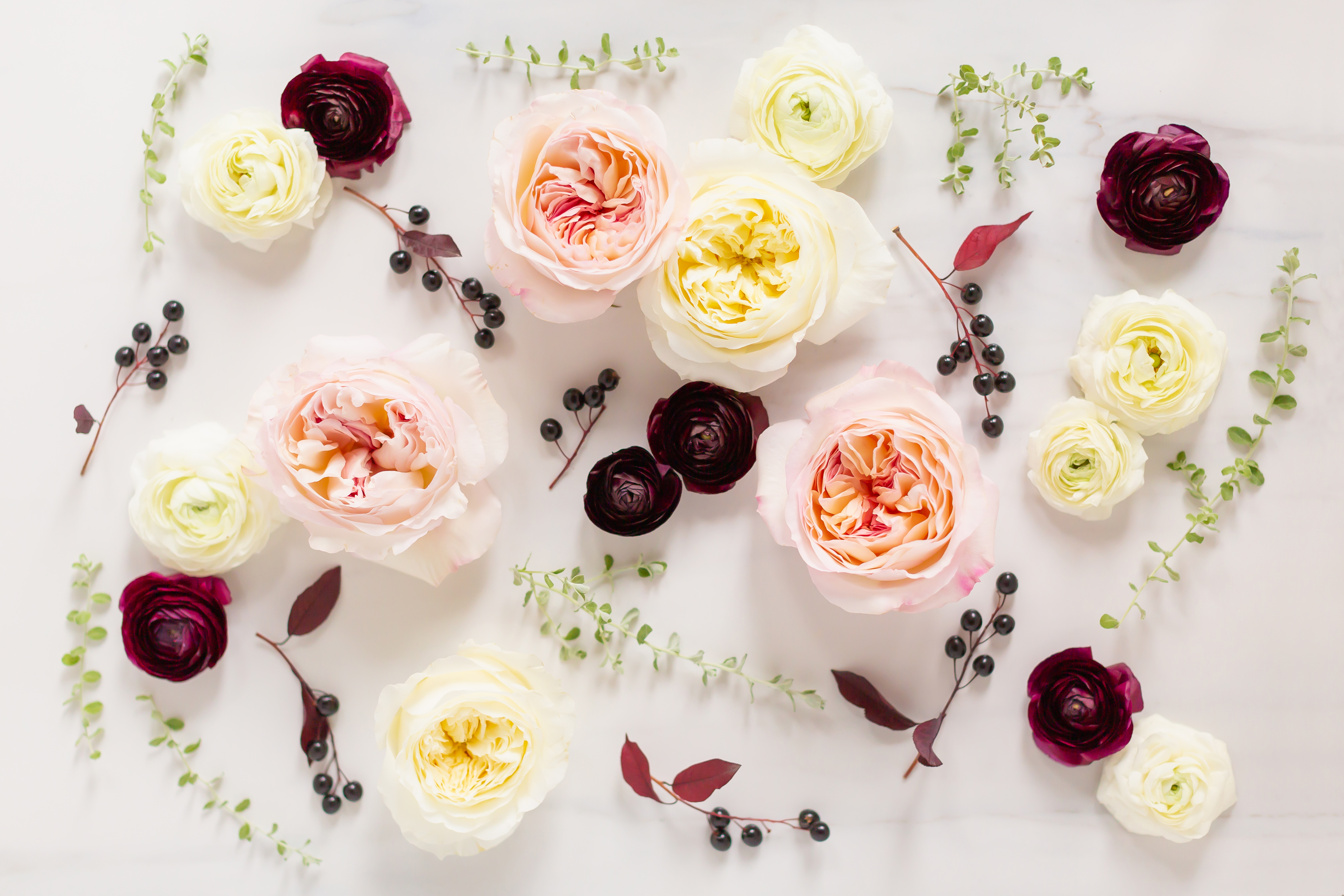 DIGITAL BLOOMS MARCH 2019 | FREE DESKTOP WALLPAPER | Free Winter 2019 Floral Desktop Wallpapers featuring Blush Garden Roses and Patience Roses, White and Burgundy Ranunculus and Foraged Black Berries and Greenery on a marble background // JustineCelina.com x Rebecca Dawn Design