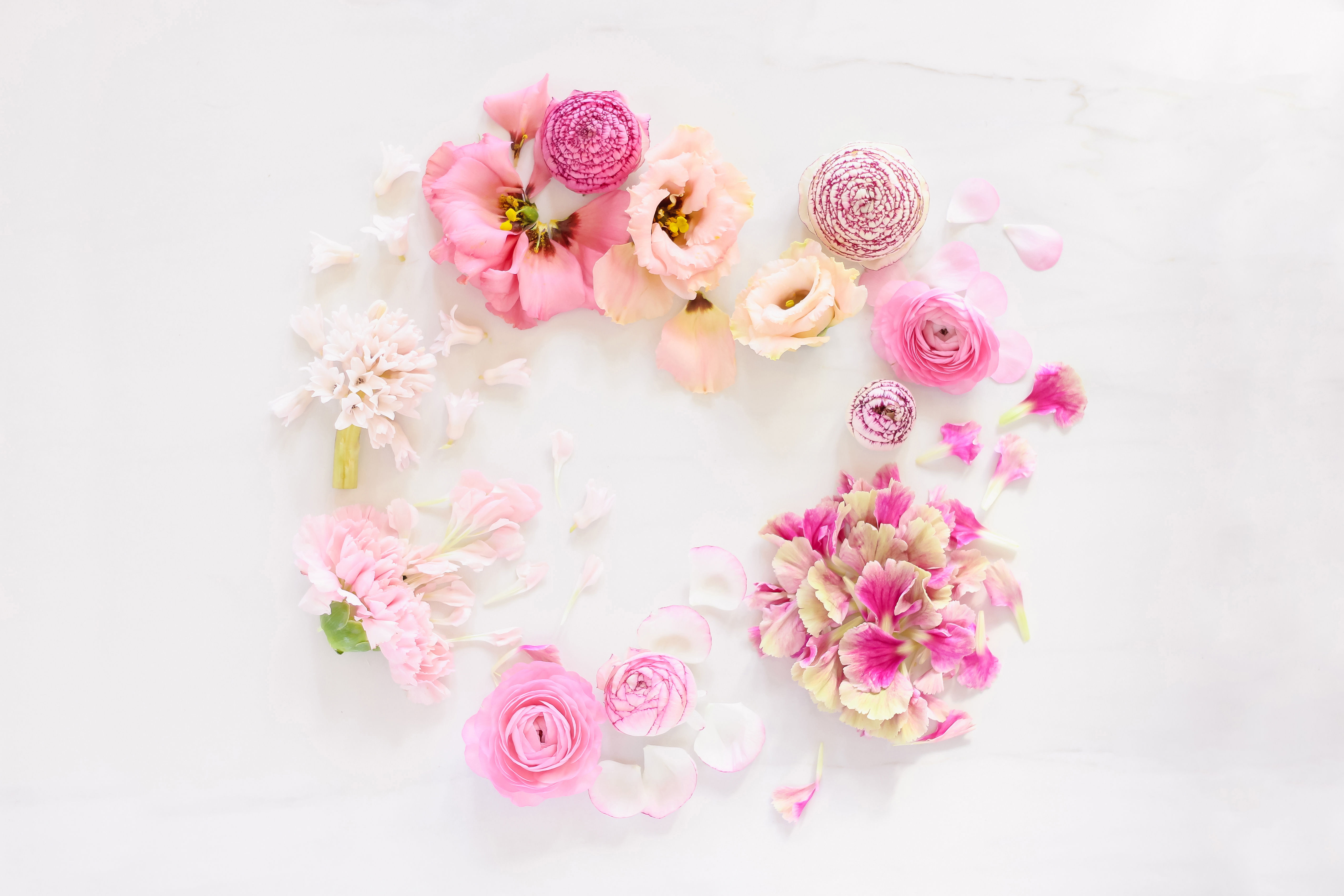 DIGITAL BLOOMS APRIL 2019 | FREE DESKTOP WALLPAPER + DIGITAL BLOOMS TURNS 3! | Free Spring 2019 Floral Desktop Wallpapers featuring Pink Ranunculus, Lisianthus, Hyacinths and Carnations on a marble background | Pantone Spring / Summer 2019 Tech Wallpapers | FREE Pink Floral Tech Wallpapers | The Best FREE Spring Tech Wallpapers | Free Floral Tech Wallpapers Spring 2019 // JustineCelina.com x Rebecca Dawn Design