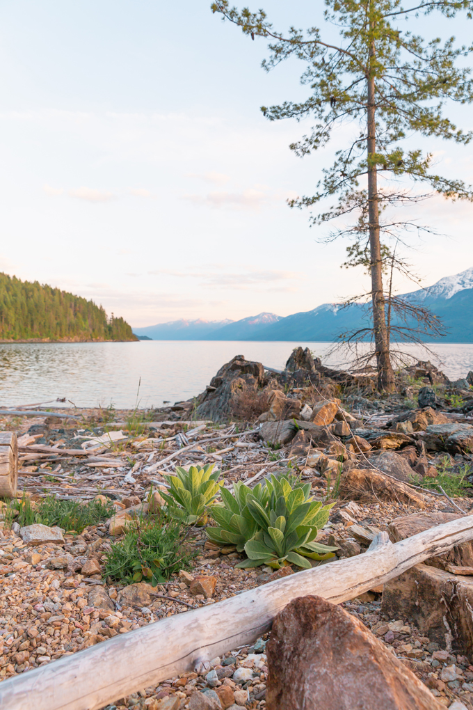 DIY | Modern Driftwood Macrame Wall Hanging | How to Make a Large Macrame Wall Hanging for Less Than $70! | Macrame Wall Hanging Tutorial | Affordable Bohemian Wall Hanging DIY | Driftwood Foraging Tips | Kootenay Lake at Sunset | Rocky Beach on Kootenay Lake | Kootenay Lake Driftwood // JustineCelina.com