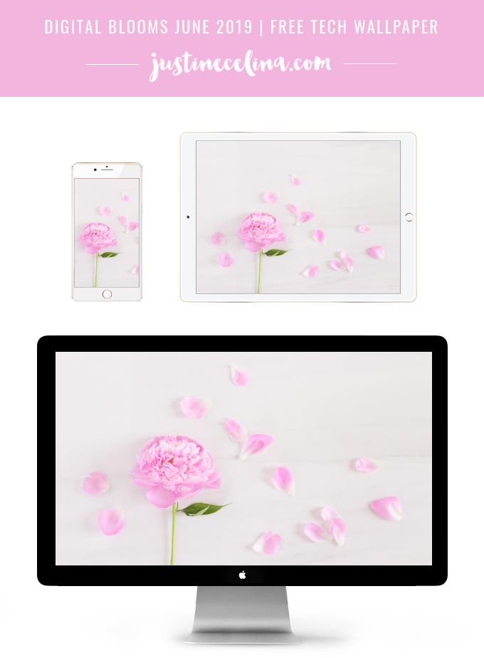 DIGITAL BLOOMS JUNE 2019 | FREE DESKTOP WALLPAPER | Free Spring 2019 Floral Desktop Wallpapers featuring a Pink Peony on a marble background | Free Pastel Floral Wallpapers for Spring | Spring / Summer 2019 Tech Wallpapers | FREE Pink Floral Tech Wallpapers | The Best FREE Spring Tech Wallpapers | Free Floral Tech Wallpapers Spring 2019 // JustineCelina.com