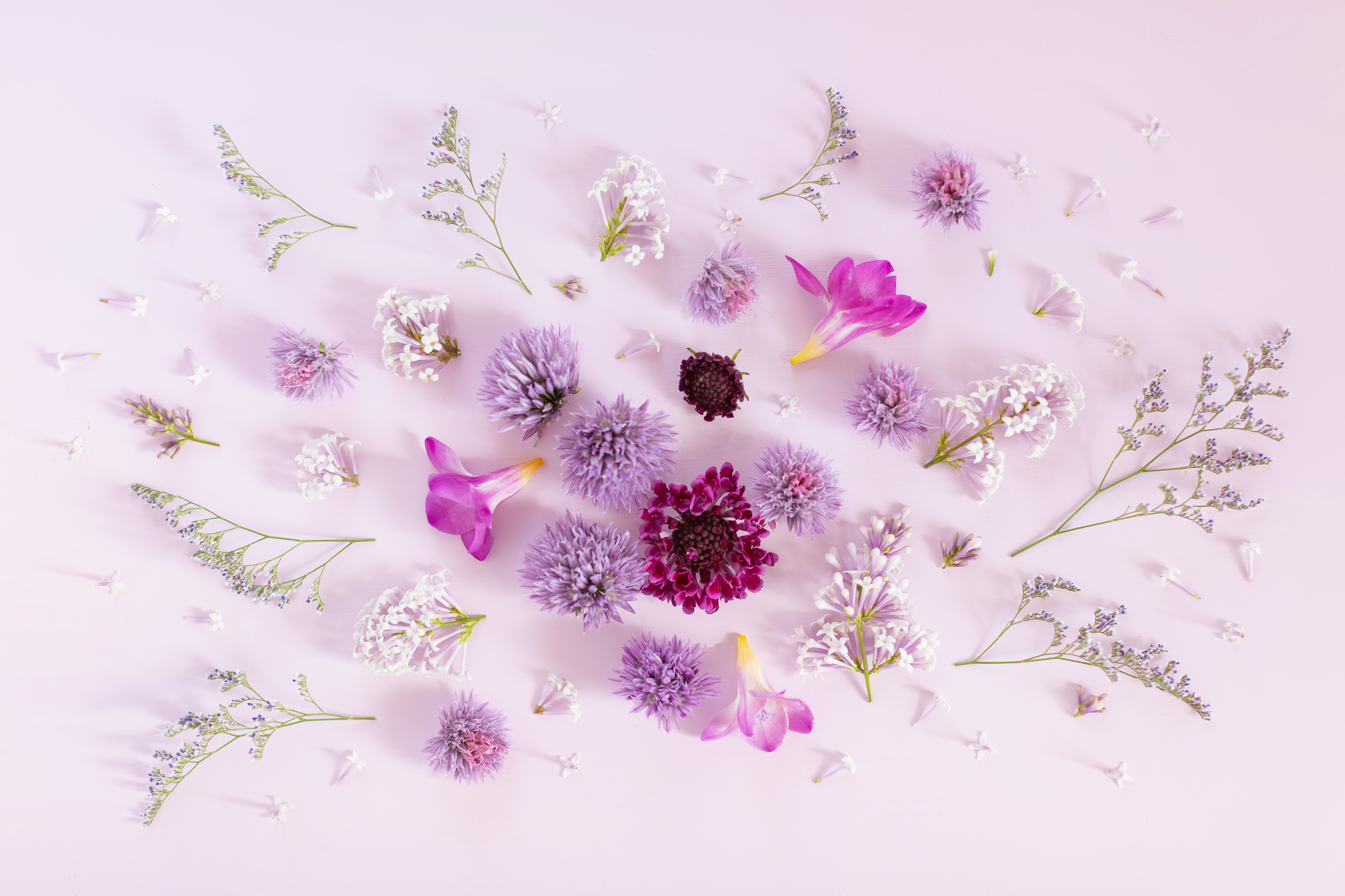 DIGITAL BLOOMS JULY 2019 | FREE DESKTOP WALLPAPER | Free Summer 2019 Floral Desktop Wallpapers featuring Lilacs, Chive Fllowers, Freesia, Scabiosa and Misty Blue Statice on a lavender background | Free Lavender Lilac Floral Wallpapers for Summer | Spring / Summer 2019 Tech Wallpapers | FREE Purple Floral Tech Wallpapers | The Best FREE Summer Tech Wallpapers | Free Floral Tech Wallpapers Summer 2019 // JustineCelina.com 