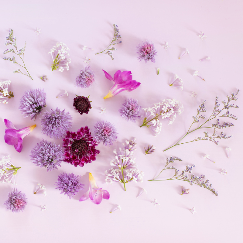 DIGITAL BLOOMS JULY 2019 | FREE DESKTOP WALLPAPER + MY 400TH BLOG POST! -  JustineCelina