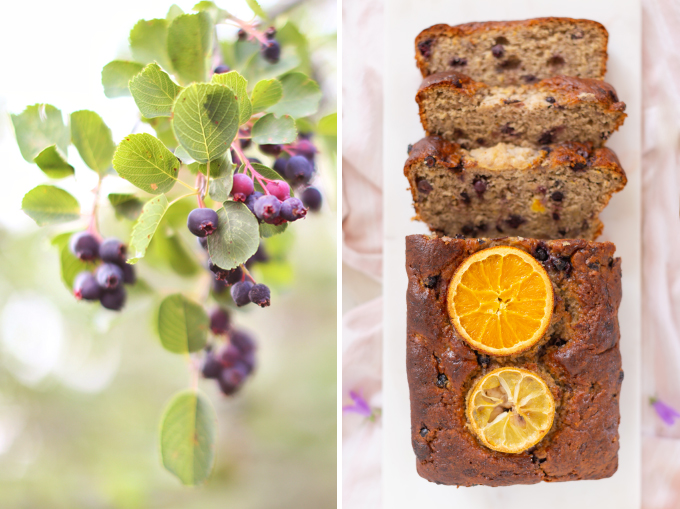 Gluten Free Saskatoon Citrus Banana Bread | Free of dairy, gluten and refined sugar and full of healthier, natural substitutions perfect for those with food allergies, intolerances or sensitivities | Best Saskatoon Berry Recipes | Saskatoon Berry Recipes Gluten Free | Clean Banana Bread Recipe | Saskatoon Banana Bread | Banana Saskatoon Loaf | Healthy Gluten Free Banana Bread | Calgary Clean Food Blogger, Recipe Developer and Food Stylist // JustineCelina.com