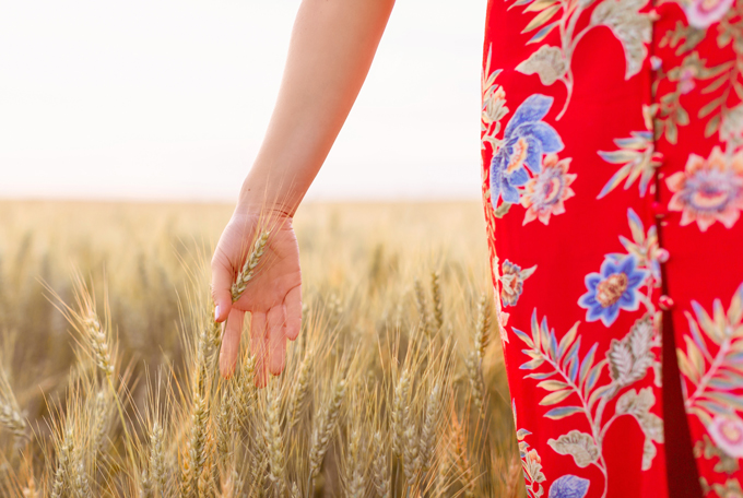 August 2019 Soundtrack | Hand touching wheat in a Canadian wheat field in Wheatland County, Alberta at Sunset | A Canadian Field of Wheat at Golden Hour | Calgary, Alberta, Canada Lifestyle and Fashion Blogger, Justine Celina Maguire | JustineCelina.com