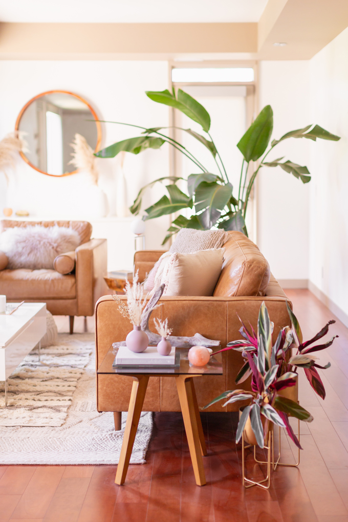 MidSummer Space Refresh Update | A Bohemian, Mid-Century Modern Living Room featuring Pampas Grass and a Mature Bird of Paradise Plant | Summer Decor 2019 Trends | Bohemian, Mid Century Modern Decor | Mature Bird of Paradise Plant | Calgary Lifestyle, Interior Design and Home Decor Blogger // JustineCelina.com