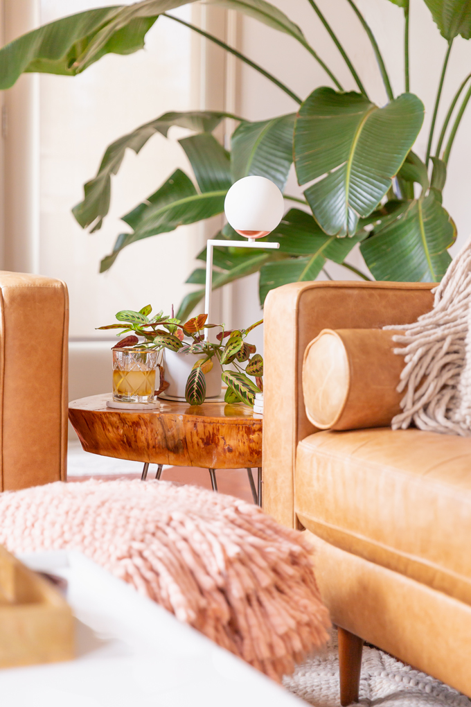 How to Transition Your Decor Into Fall | Easy and inexpensive fall decorating ideas | JustineCelina’s Inner City Calgary bohemian, mid-century modern apartment | A Bohemian, Mid-Century Modern Living Room featuring Dried Arrangements and Stromanthe Sanguinea | Fall Decor 2019 Trends | Bohemian, Mid Century Modern Fall Decor | Pantone Fall Winter 2019 / 2020 Interior Design Trends | Fall Decorating DIY | Calgary Lifestyle, Interior Design and Home Decor Blogger // JustineCelina.com