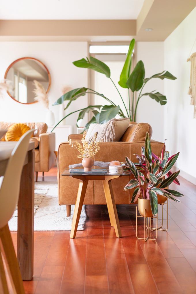 How to Transition Your Decor Into Fall | Easy and inexpensive fall decorating ideas | JustineCelina’s Inner City Calgary bohemian, mid-century modern apartment | A Bohemian, Mid-Century Modern Living Room featuring Pampas Grass and a Mature Bird of Paradise Plant | Fall Decor 2019 Trends | Bohemian, Mid Century Modern Fall Decor | Pantone Fall Winter 2019 / 2020 Interior Design Trends | Fall Decorating DIY | Calgary Lifestyle, Interior Design and Home Decor Blogger // JustineCelina.com