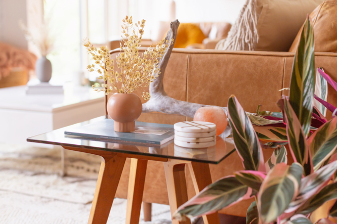 How to Transition Your Decor Into Fall | Easy and inexpensive fall decorating ideas | JustineCelina’s Inner City Calgary bohemian, mid-century modern apartment | A Bohemian, Mid-Century Modern Living Room featuring Pampas Grass and a Mature Bird of Paradise Plant | Fall Decor 2019 Trends | Bohemian, Mid Century Modern Fall Decor | Pantone Fall Winter 2019 / 2020 Interior Design Trends | Fall Decorating DIY | Calgary Lifestyle, Interior Design and Home Decor Blogger // JustineCelina.com