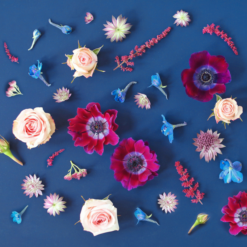 DIGITAL BLOOMS JANUARY 2020 | FREE DESKTOP WALLPAPER | Free Winter 2020 Floral Desktop Wallpapers featuring Anemones, Spray Roses, Bella Donna Dephinium, Astrantia, Astilbe and Sedum on a Pantone Color of the Year 2020 Classic Blue Background | Pantone 2020 Free Tech Wallpaper | Pantone 2020 Inspiration | Pantone 2020 Floral Inspiration | Winter 2020 Tech Wallpapers | Calgary Creative Lifestyle Blogger The Best FREE Winter Tech Wallpapers | Free Floral Tech Wallpapers 2020 // JustineCelina.com