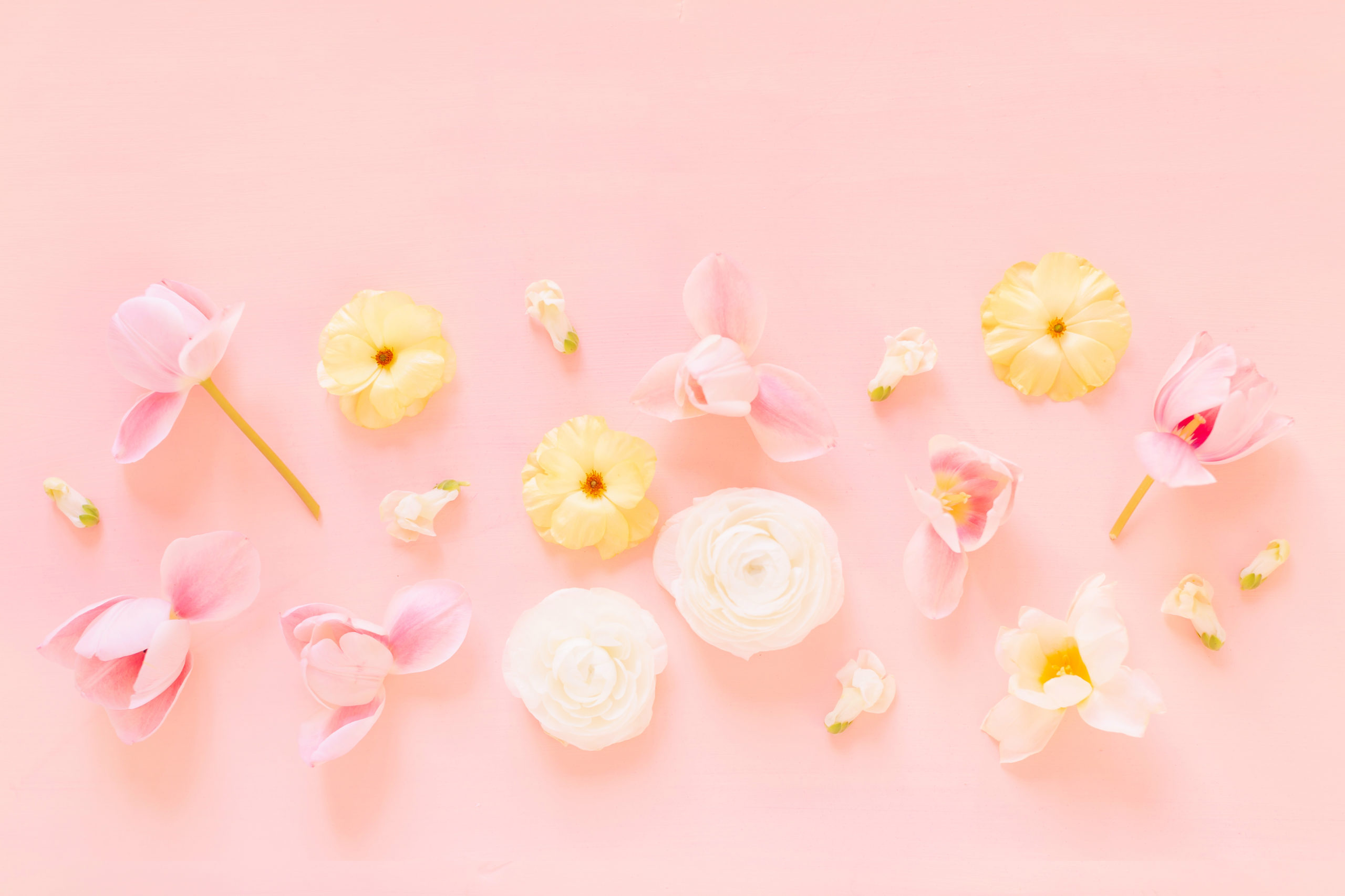 DIGITAL BLOOMS MAY 2020 | FREE DESKTOP WALLPAPER | A soft, feminine, pastel floral FREE Desktop Wallpaper for Spring 2020 | Pastel Pink and Yellow Floral Tech Wallpaper for Spring | Free April Flower Tech Wallpapers | JustineCelina Spring 2020 Digital Blooms | Free Floral Desktop Wallpaper featuring White Ranunculus and Yellow Butterfly Ranunculus, White Hyacinths and refurled Blush and White Tulips | Tulip Free Tech Wallpaper | Cheerful Spring Flower Tech Wallpaper // JustineCelina.com