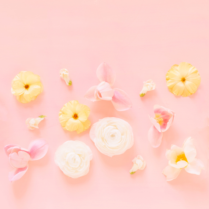 DIGITAL BLOOMS MAY 2020 | FREE DESKTOP WALLPAPER | A soft, feminine, pastel floral FREE Desktop Wallpaper for Spring 2020 | Pastel Pink and Yellow Floral Tech Wallpaper for Spring | Free April Flower Tech Wallpapers | JustineCelina Spring 2020 Digital Blooms | Free Floral Desktop Wallpaper featuring White Ranunculus and Yellow Butterfly Ranunculus, White Hyacinths and refurled Blush and White Tulips | Tulip Free Tech Wallpaper | Cheerful Spring Flower Tech Wallpaper // JustineCelina.com