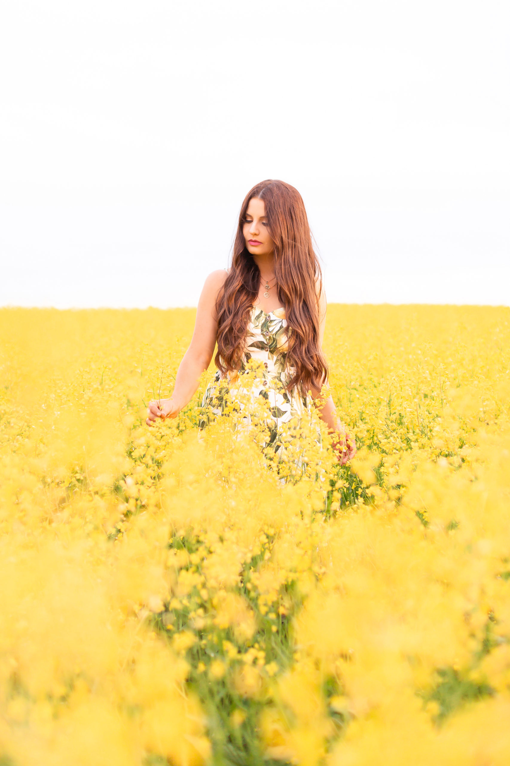 July 2020 Soundtrack | Chill Summer Playlist | Inspiring Summer Playlist Spotify | Dreamy Summer 2020 Playlist | Brunette woman in a field of canola at sunset wearing a lemon print sundress | Yellow Flower Field | Wheatland County, Alberta, Canada Canola Field | Summer 2020 Bohemian Style Ideas | Boho Casual Summer Dresses | Summer 2020 Fashion | Best H&M Dresses Summer 2020 | Alberta Canola Fields 2020 | Calgary, Alberta, Canada Creative Lifestyle Blogger and Entrepreneur// JustineCelina.com