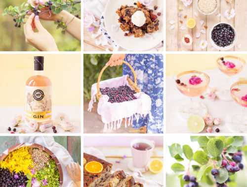 4 Healthy Saskatoon Berry Recipes to Try This Summer + Where to Pick Saskatoons in Alberta | Vegan Gingered Saskatoon Peach Crumble | Wild Saskatoon Berry Crumble | Honeyed Saskatoon Cherry Gimlet | Summer Bounty Salad with Saskatoon Cider Vinaigrette | Gluten Free Saskatoon Citrus Banana Bread | Plant Based Serviceberry and Prairie Berry Recipes | Dairy Free, Gluten Free and Refined Sugar Saskatoon Recipes | Calgary Lifestyle and Food Blogger // JustineCelina.com