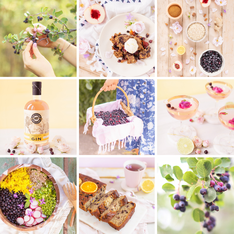 4 Healthy Saskatoon Berry Recipes to Try This Summer + Where to Pick Saskatoons in Alberta | Vegan Gingered Saskatoon Peach Crumble | Wild Saskatoon Berry Crumble | Honeyed Saskatoon Cherry Gimlet | Summer Bounty Salad with Saskatoon Cider Vinaigrette | Gluten Free Saskatoon Citrus Banana Bread | Plant Based Serviceberry and Prairie Berry Recipes | Dairy Free, Gluten Free and Refined Sugar Saskatoon Recipes | Calgary Lifestyle and Food Blogger // JustineCelina.com