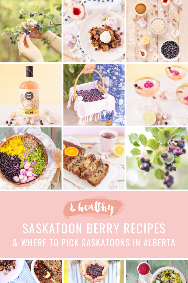 4 Healthy Saskatoon Berry Recipes to Try This Summer + Where to Pick Saskatoons in Alberta | Vegan Gingered Saskatoon Peach Crumble | Wild Saskatoon Berry Crumble | Honeyed Saskatoon Cherry Gimlet | Summer Bounty Salad with Saskatoon Cider Vinaigrette | Gluten Free Saskatoon Citrus Banana Bread | Plant Based Serviceberry and Prairie Berry Recipes | Dairy Free, Gluten Free and Refined Sugar Saskatoon Recipes | Alberta Saskatoon U-Pick Guide | Calgary Lifestyle & Food Blogger // JustineCelina.com