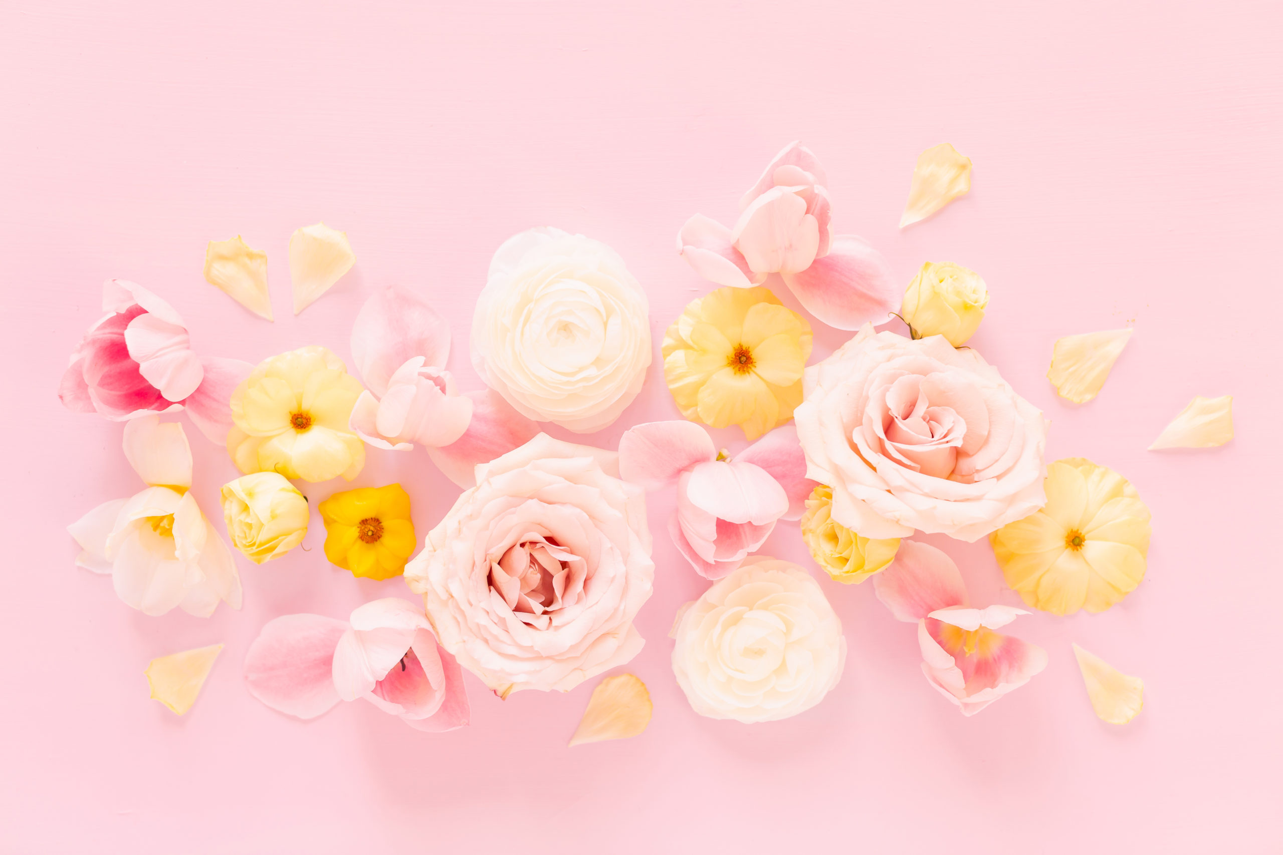 DIGITAL BLOOMS AUGUST 2020 | FREE DESKTOP WALLPAPER | A soft, feminine, pastel floral FREE Desktop Wallpaper for Summer 2020 | Pastel Pink, Lavender and Yellow Floral Tech Wallpaper for Summer | Free August Flower Tech Wallpapers | JustineCelina Summer 2020 Digital Blooms | Free Floral Desktop Wallpaper featuring White Ranunculus and Yellow Butterfly Ranunculus, refurled Blush and White Tulips and Quicksand Roses | Rose Free Tech Wallpaper | Cheerful Summer Flower Tech Wallpaper // JustineCelina.com