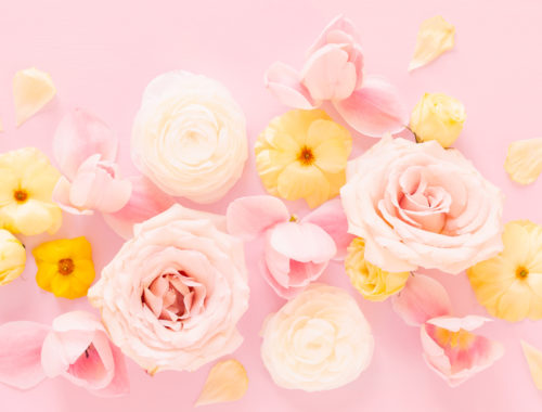 DIGITAL BLOOMS AUGUST 2020 | FREE DESKTOP WALLPAPER | A soft, feminine, pastel floral FREE Desktop Wallpaper for Summer 2020 | Pastel Pink, Lavender and Yellow Floral Tech Wallpaper for Summer | Free August Flower Tech Wallpapers | JustineCelina Summer 2020 Digital Blooms | Free Floral Desktop Wallpaper featuring White Ranunculus and Yellow Butterfly Ranunculus, refurled Blush and White Tulips and Quicksand Roses | Rose Free Tech Wallpaper | Cheerful Summer Flower Tech Wallpaper // JustineCelina.com