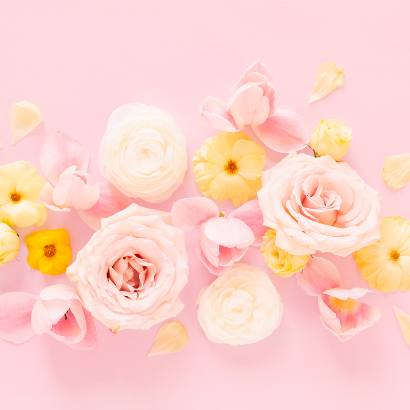 DIGITAL BLOOMS AUGUST 2020 | FREE DESKTOP WALLPAPER | A soft, feminine, pastel floral FREE Desktop Wallpaper for Summer 2020 | Pastel Pink, Lavender and Yellow Floral Tech Wallpaper for Summer | Free August Flower Tech Wallpapers | JustineCelina Summer 2020 Digital Blooms | Free Floral Desktop Wallpaper featuring White Ranunculus and Yellow Butterfly Ranunculus, refurled Blush and White Tulips and Quicksand Roses | Rose Free Tech Wallpaper | Cheerful Summer Flower Tech Wallpaper // JustineCelina.com