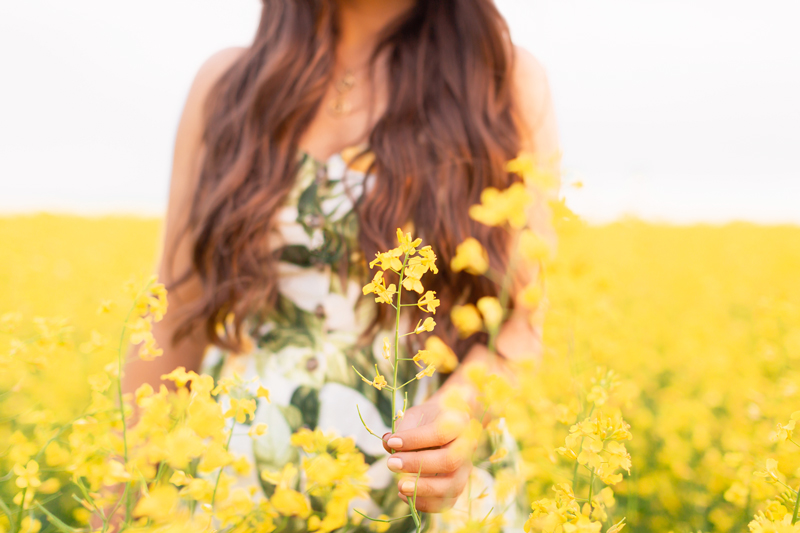 Summer 2020 Lookbook | Boho Summer 2020 Outfit Ideas | Summer Capsule Wardrobe | Classic Summer Outfit Ideas | The Best Linen Dresses 2020 | Brunette woman in a field of canola wearing a lemon print sundress | Yellow Flower Field | Wheatland County, Alberta, Canada Canola Field | Summer 2020 Bohemian Style Ideas | Boho Casual Summer Dresses | Summer 2020 Fashion | Best H&M Dresses Summer 2020 | Alberta Canola Fields 2020 | Calgary, Alberta, Canada Creative Lifestyle Blogger // JustineCelina.com