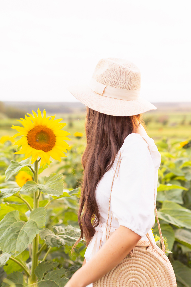 A Guide to Bowden SunMaze & Eagle Creek Farms | Bowden SunMaze September 2020 | Sunflower Field Near Me | The Best Alberta Sunflower Field | Alberta Sunflower U-Pick | Bowden SunMaze Sunflower Field Best Time To Go | Bowden SunMaze Cost | Eagle Creek Farms Review | Sunflower Field Instagram Tips | Golden Hour Sunflower Photoshoot | Cottagecore Aesthetic | Brunette woman wearing a cream dress and woven fedora in a field of sunflowers at sunset | Calgary Lifestyle Blogger // JustineCelina.com