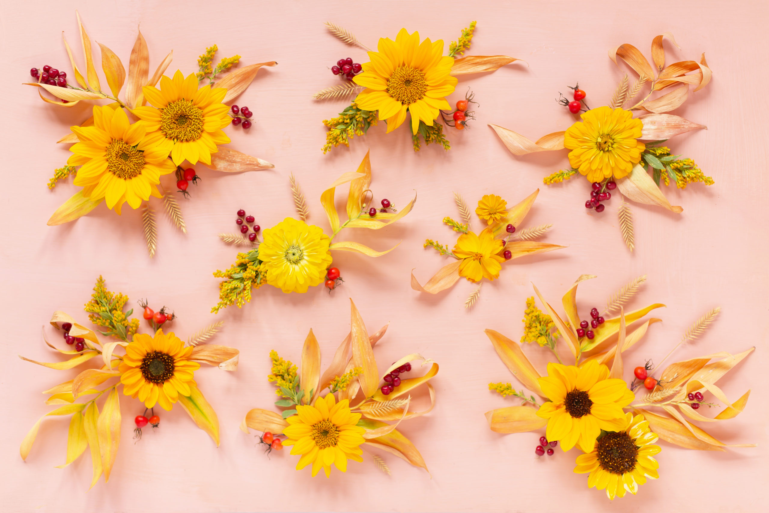 DIGITAL BLOOMS OCTOBER 2020 | FREE DESKTOP WALLPAPER | Free Fall / Autumn 2020 Floral Desktop Wallpapers featuring Alberta grown Sunflowers, Yellow Zinnias, Sulfur Cosmos, Goldenrod, Starry False Lily of the Valley, Rosehips and Crested Wheatgrass on an Pantone Autumn/Winter 2020/2021 Rose Tan background | Free Sunflower Floral Wallpapers for Fall | Boho Flower Fall 2020 Tech Wallpapers | The Best FREE Fall/Autumn Tech Wallpapers | Free Floral Tech Wallpapers Fall 2020 // JustineCelina.com