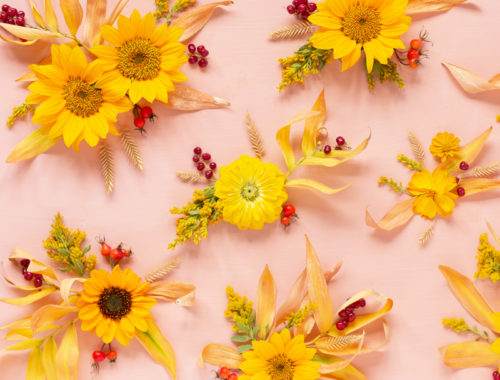 DIGITAL BLOOMS OCTOBER 2020 | FREE DESKTOP WALLPAPER | Free Fall / Autumn 2020 Floral Desktop Wallpapers featuring Alberta grown Sunflowers, Yellow Zinnias, Sulfur Cosmos, Goldenrod, Starry False Lily of the Valley, Rosehips and Crested Wheatgrass on an Pantone Autumn/Winter 2020/2021 Rose Tan background | Free Sunflower Floral Wallpapers for Fall | Boho Flower Fall 2020 Tech Wallpapers | The Best FREE Fall/Autumn Tech Wallpapers | Free Floral Tech Wallpapers Fall 2020 // JustineCelina.com