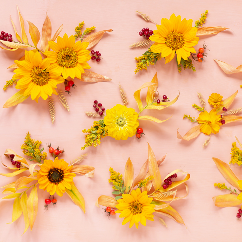 DIGITAL BLOOMS OCTOBER 2020 | FREE DESKTOP WALLPAPER | Free Fall / Autumn 2020 Floral Desktop Wallpapers featuring Alberta grown Sunflowers, Yellow Zinnias, Sulfur Cosmos, Goldenrod, Starry False Lily of the Valley, Rosehips and Crested Wheatgrass on an Pantone Autumn/Winter 2020/2021 Rose Tan background | Free Sunflower Floral Wallpapers for Fall | Boho Flower Fall 2020 Tech Wallpapers | The Best FREE Fall/Autumn Tech Wallpapers | Free Floral Tech Wallpapers Fall 2020 // JustineCelina.com