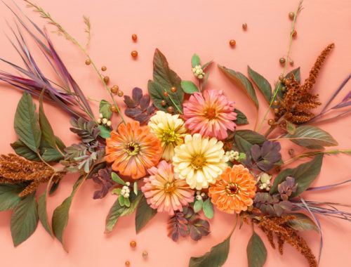 DIGITAL BLOOMS NOVEMBER 2020 | FREE DESKTOP WALLPAPER | Free Fall 2020 Floral Desktop Wallpapers featuring Alberta grown Zinnias and Red Amaranth along with foraged Western Snowberries, Wood’s Rose Leaves, Broomsedge Bluestem and Garden Asparagus Foliage and Berries on an Pantone Autumn/Winter 2020/2021 Peach Nougat background | Free Fall Floral Wallpapers | Boho Flower Fall 2020 Tech Wallpapers | The Best FREE Fall Tech Wallpapers | Free Floral Tech Wallpapers Autumn 2020 // JustineCelina.com